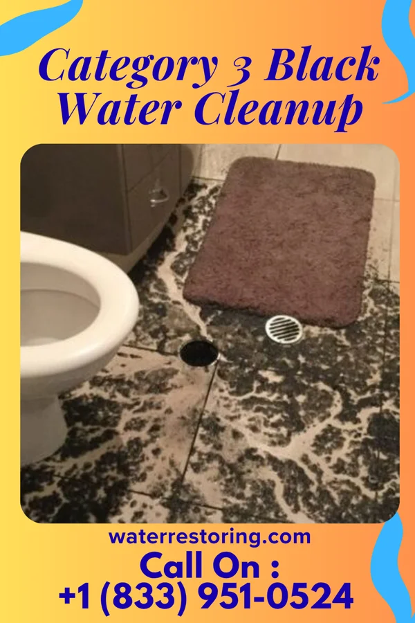Category 3 Black Water Cleanup in Waltham, MN
