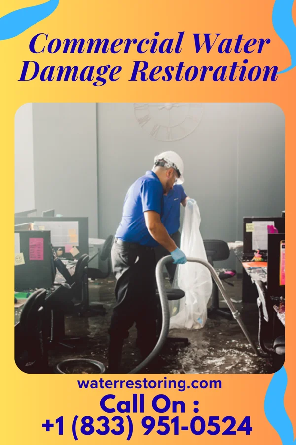 Commercial Water Damage Restoration in Waltham, MN