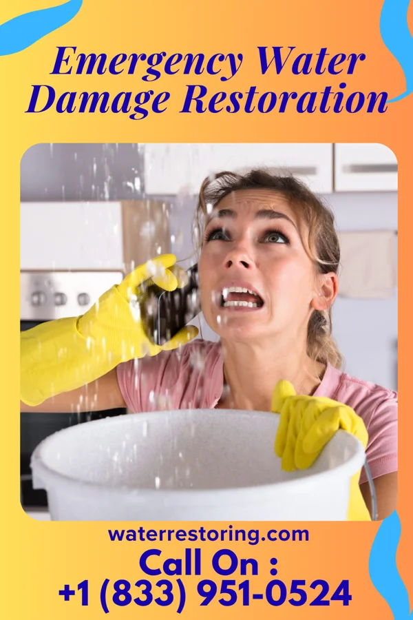 Emergency Water Damage Restoration in Waltham, MN