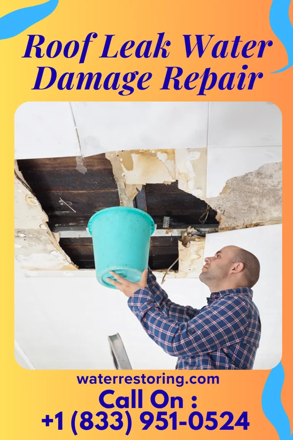 Roof Leak Water Damage Repair in Waltham, MN
